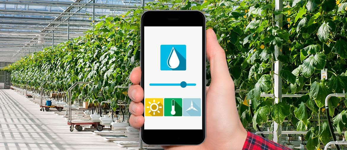 Система климат-контроля для теплицы