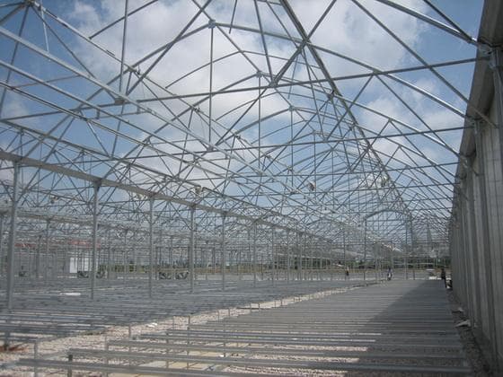 Тепличные конструкции